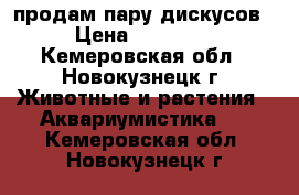 продам пару дискусов › Цена ­ 15 000 - Кемеровская обл., Новокузнецк г. Животные и растения » Аквариумистика   . Кемеровская обл.,Новокузнецк г.